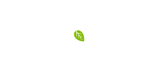 Onsa